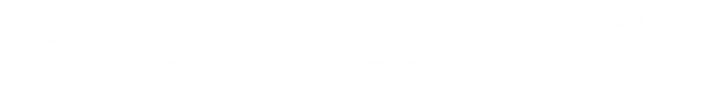 Bangkok Insurance (Cambodia) logo